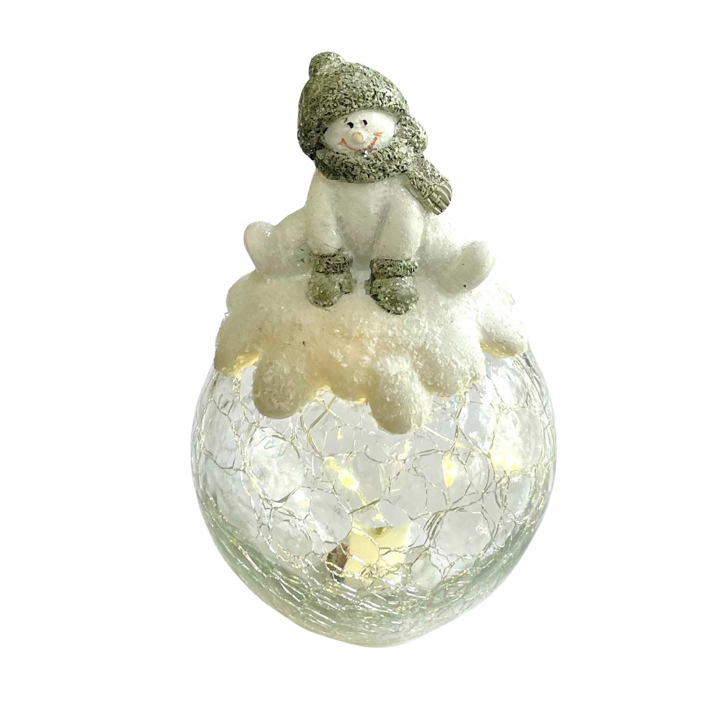 Light Up Globe