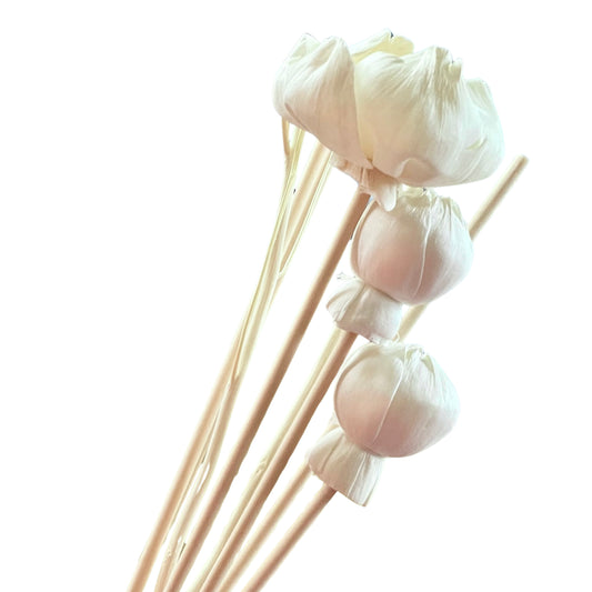 Replacement Fibre Reeds for Diffusers - Arbory Rose
