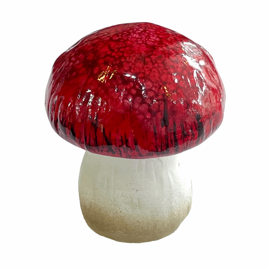 Ceramic Mushroom Decoration