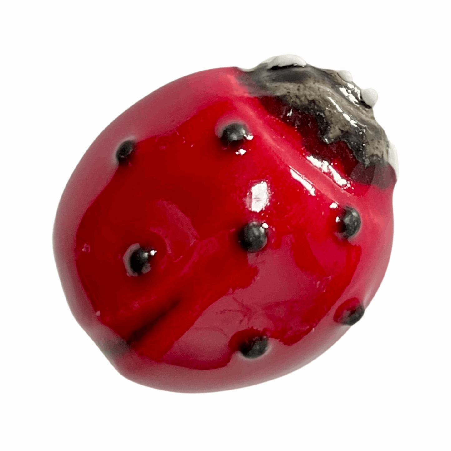 Handmade Ceramic Ladybird