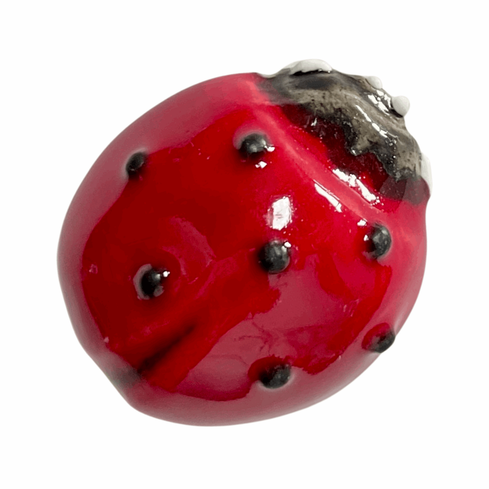 Handmade Ceramic Ladybird