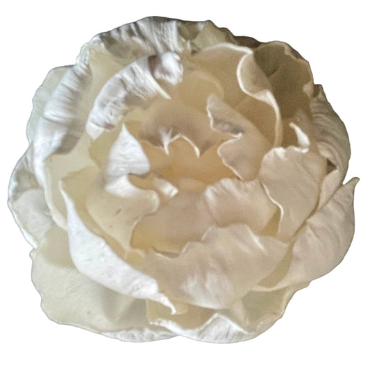 Room Diffuser Peony Rose - Arbory Home Fragrance