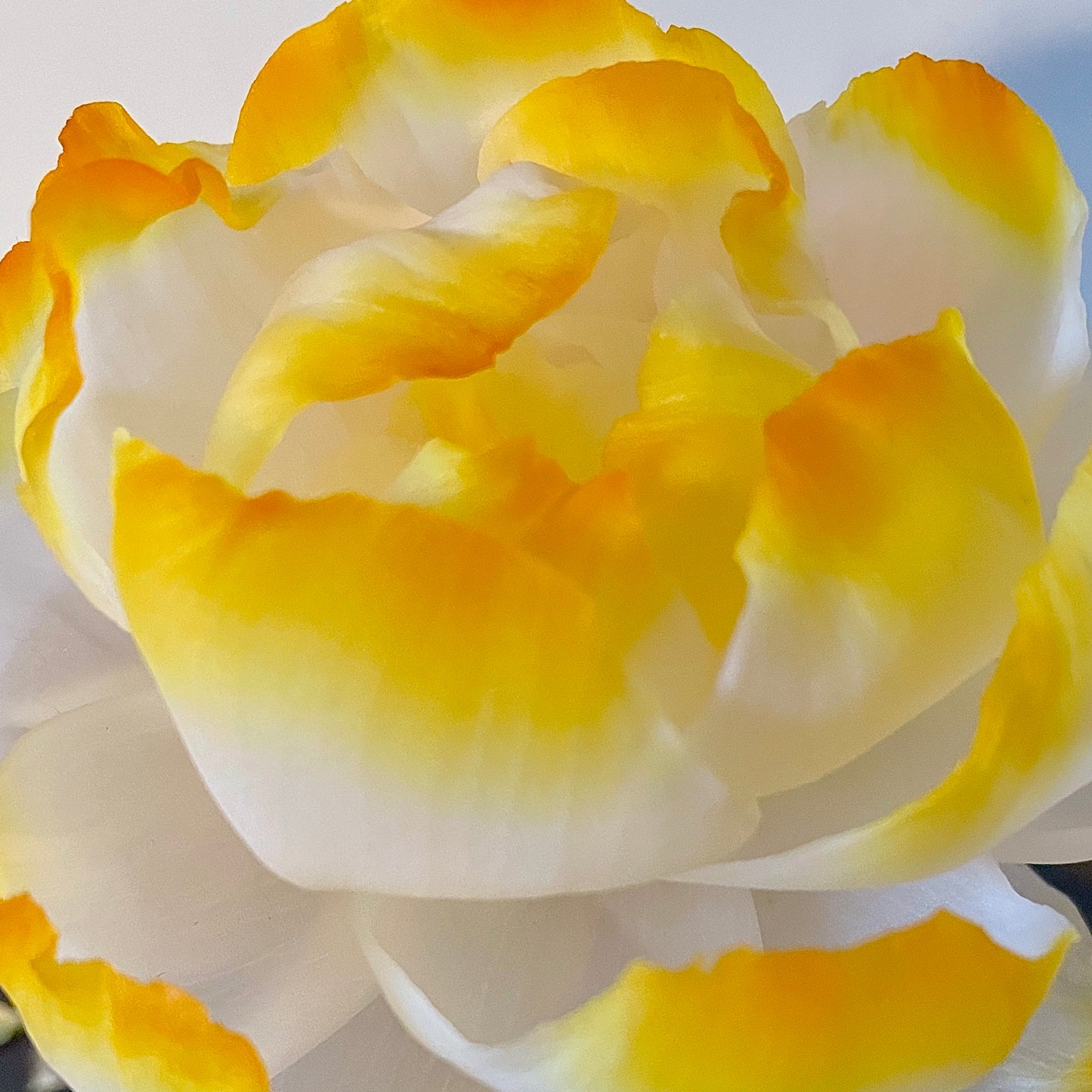 Special Edition Lemongrass & Ginger Luxury Rose Diffuser - Arbory Home Fragrance