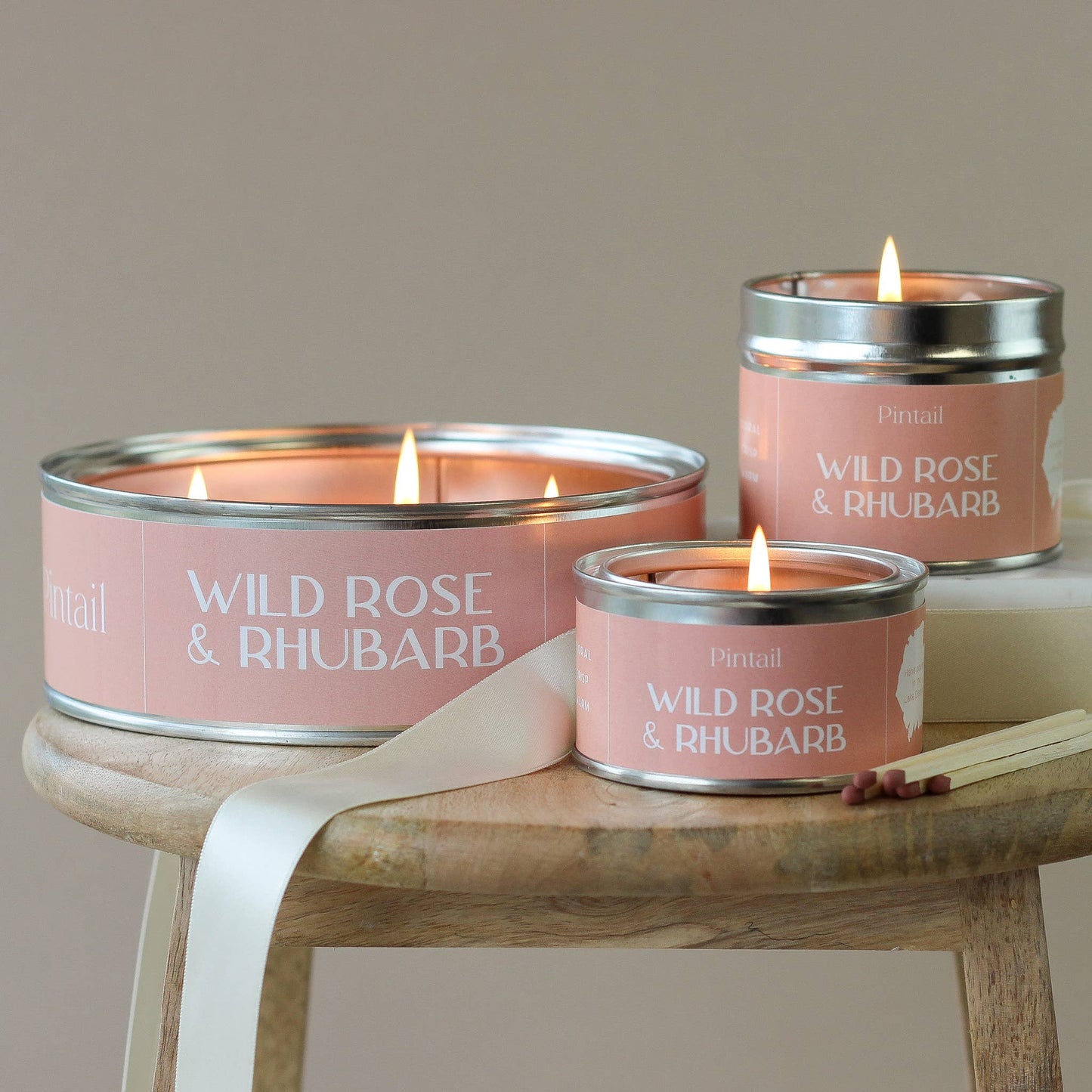 Wild Rose and Rhubarb Paint Pot Candle | Candles in Tins
