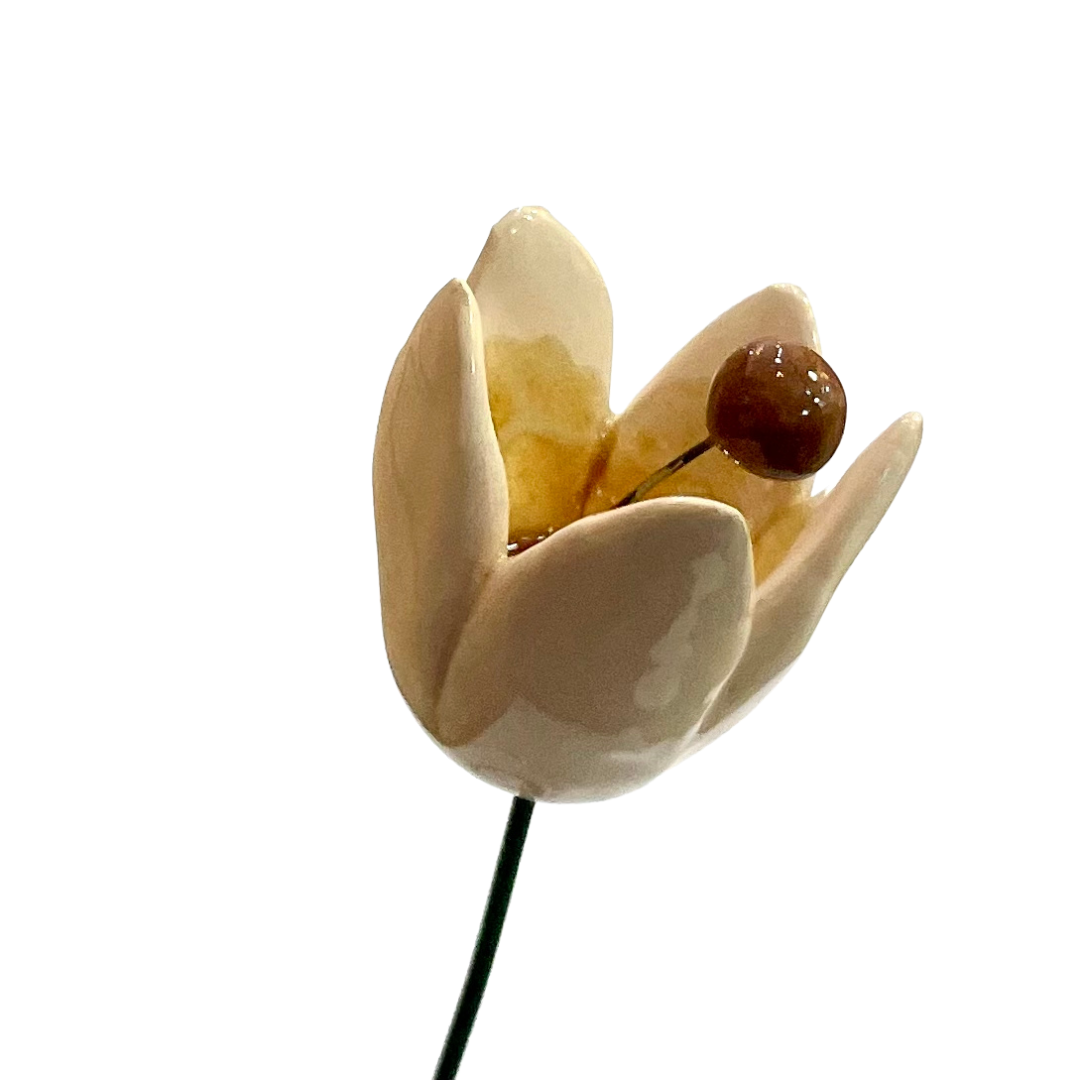 Handmade Ceramic Tulip Flower - White - Arbory Rose