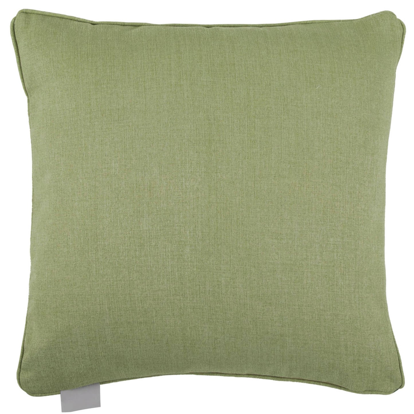 Silverwood Printed Cushion Apple: Apple / Feather Filled / 50 x 50cm